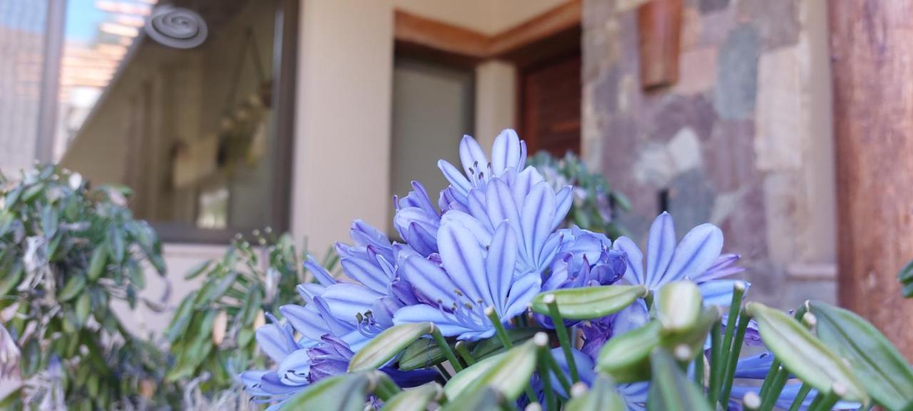 טיליקארה Hotel Tulmas מראה חיצוני תמונה